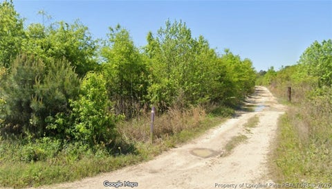 Tiny photo for McNeill Lake Road, Lumber Bridge, NC 28357 (MLS # 768193)