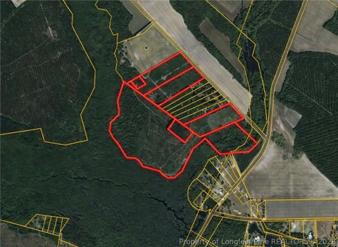 Photo of McNeill Lake Road, Lumber Bridge, NC 28357 (MLS # 768193)