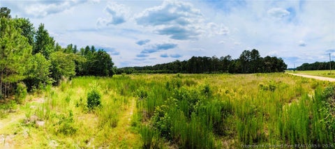 Tiny photo for McNeill Lake Road, Lumber Bridge, NC 28357 (MLS # 768193)