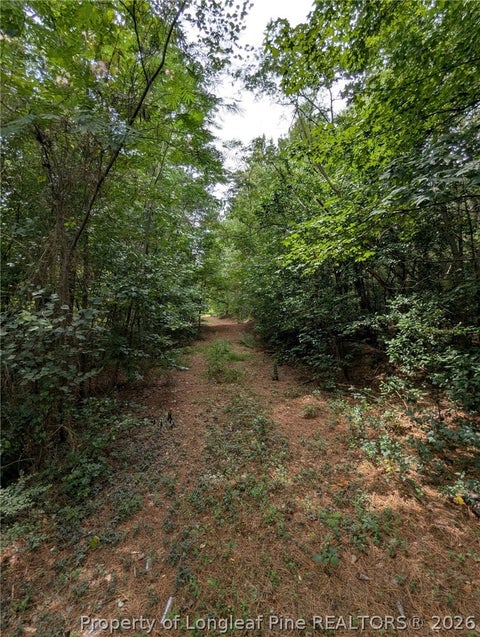 Tiny photo for McNeill Lake Road, Lumber Bridge, NC 28357 (MLS # 768193)