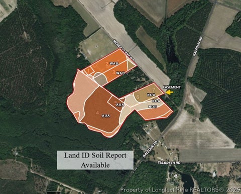 Tiny photo for McNeill Lake Road, Lumber Bridge, NC 28357 (MLS # 768193)