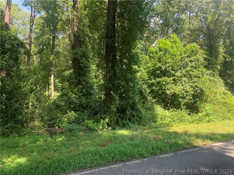 Tiny photo for Rocky Fork Church rd Road, Sanford, NC 27330 (MLS # 768268)