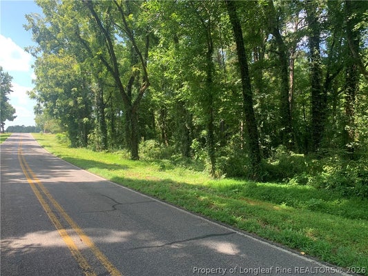 ROCKY FORK CHURCH RD, SANFORD, NC 27332 - Image 0ec956cef346df2a1afb77a85b8fb28c/207746230
