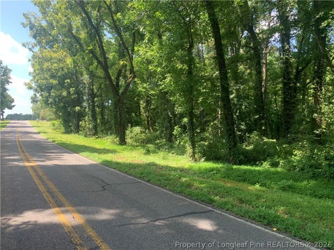 Photo of Rocky Fork Church rd Road, Sanford, NC 27330 (MLS # 768268)
