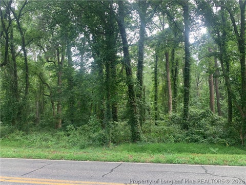 Tiny photo for Rocky Fork Church rd Road, Sanford, NC 27330 (MLS # 768268)