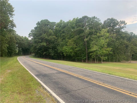 Tiny photo for Rocky Fork Church rd Road, Sanford, NC 27330 (MLS # 768268)