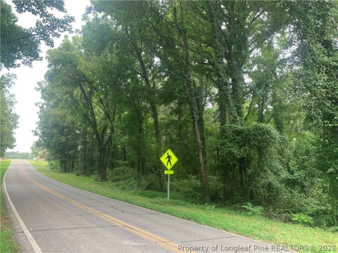 Tiny photo for Rocky Fork Church rd Road, Sanford, NC 27330 (MLS # 768268)