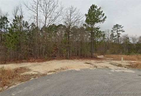 90 Pedley Place Cameron NC 28326