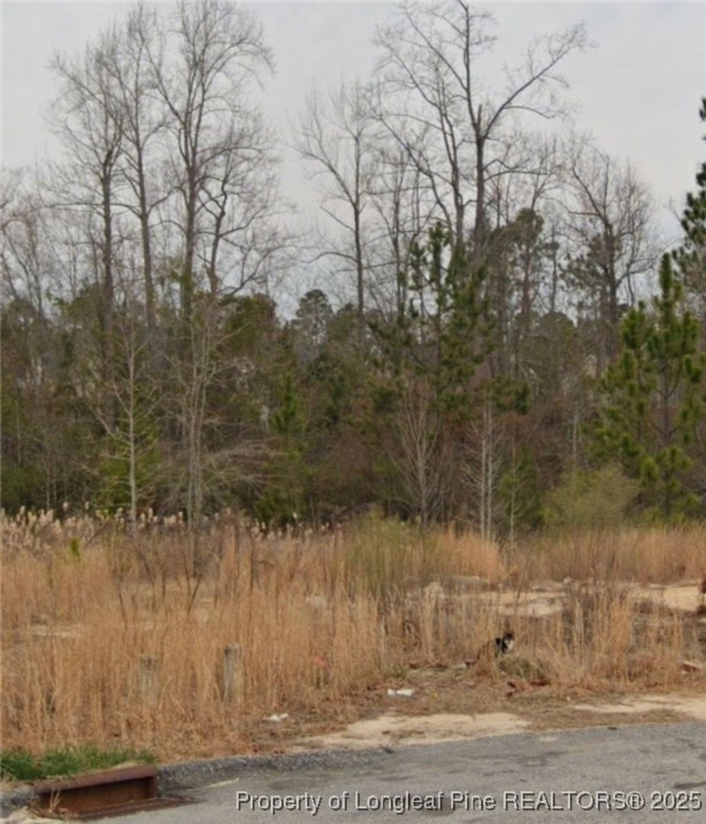 Photo of 90 Pedley Place, Cameron, NC 28326 (MLS # 747200)