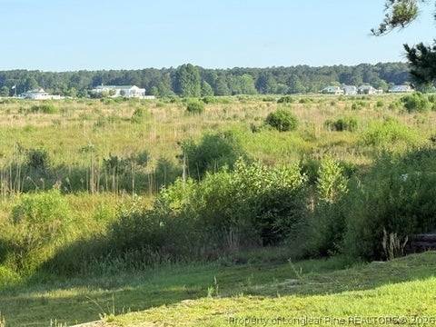 Photo of 831 Castleberry Court, Vass, NC 28394 (MLS # 763310)