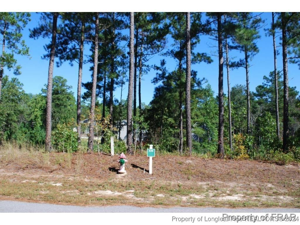Photo of 162 Broadlake (636) Lane, Spring Lake, NC 28390 (MLS # 734550)