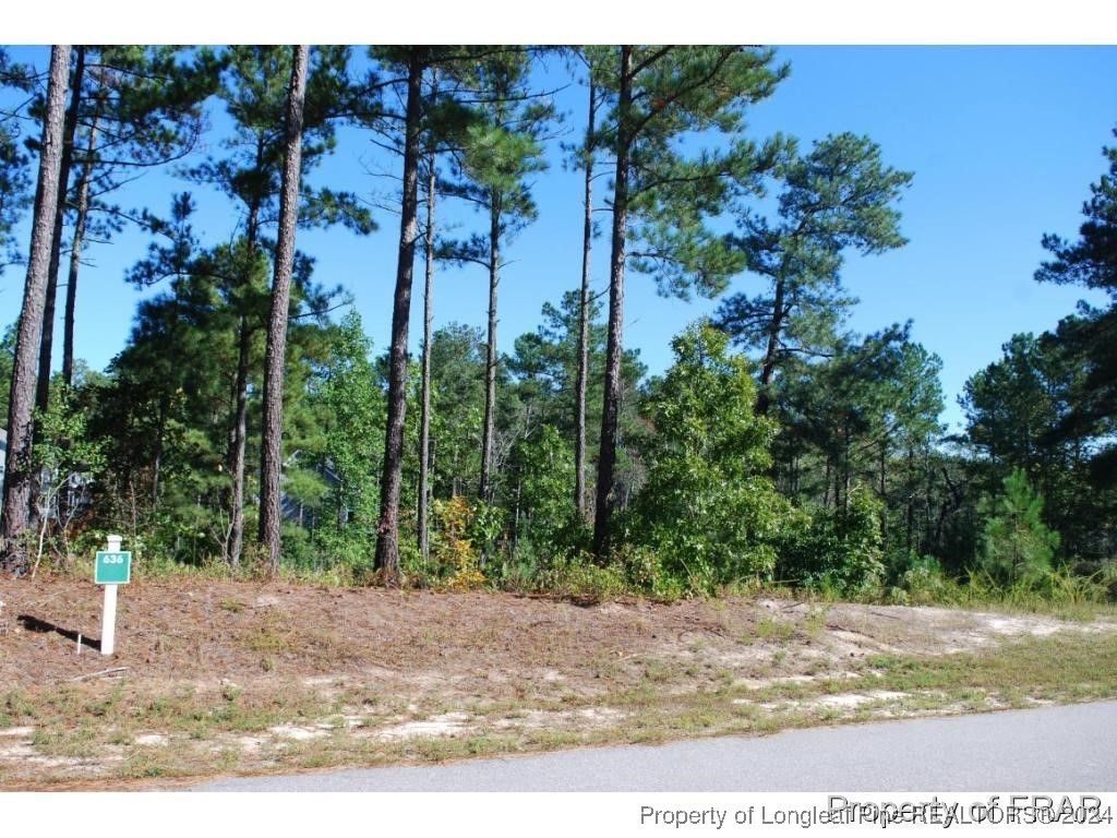 Photo of 162 Broadlake (636) Lane, Spring Lake, NC 28390 (MLS # 734550)