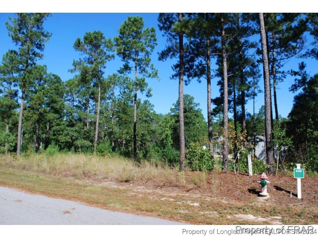 162 Broadlake (636) Lane