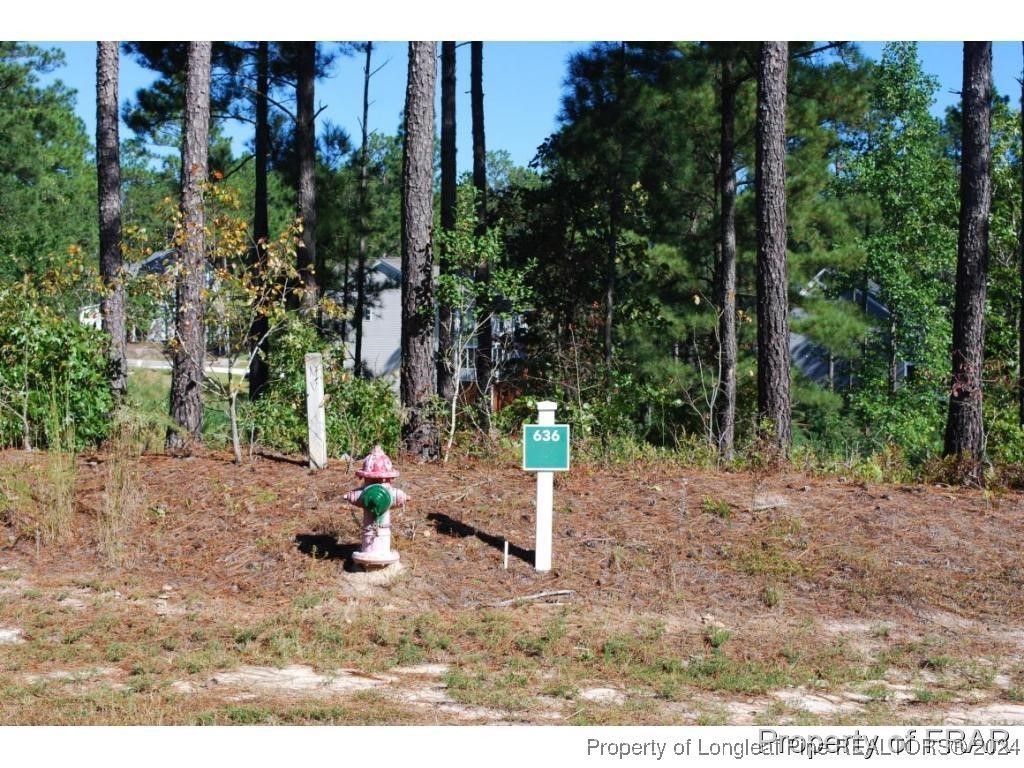 Photo of 162 Broadlake (636) Lane, Spring Lake, NC 28390 (MLS # 734550)