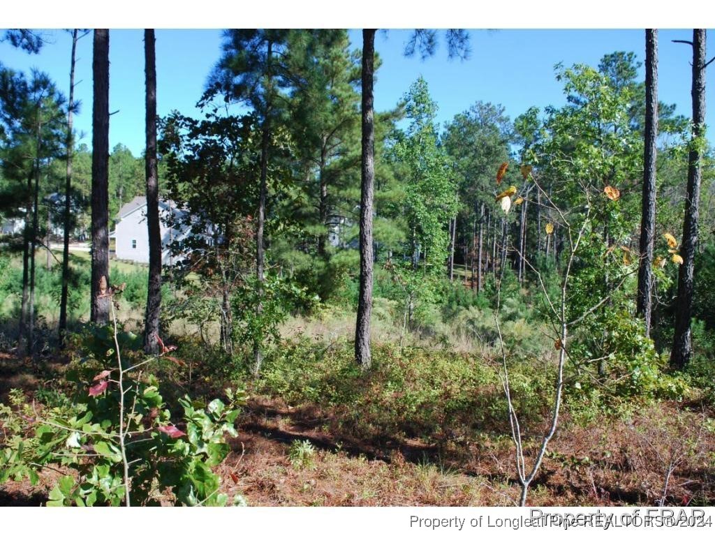 162 Broadlake (636) Lane