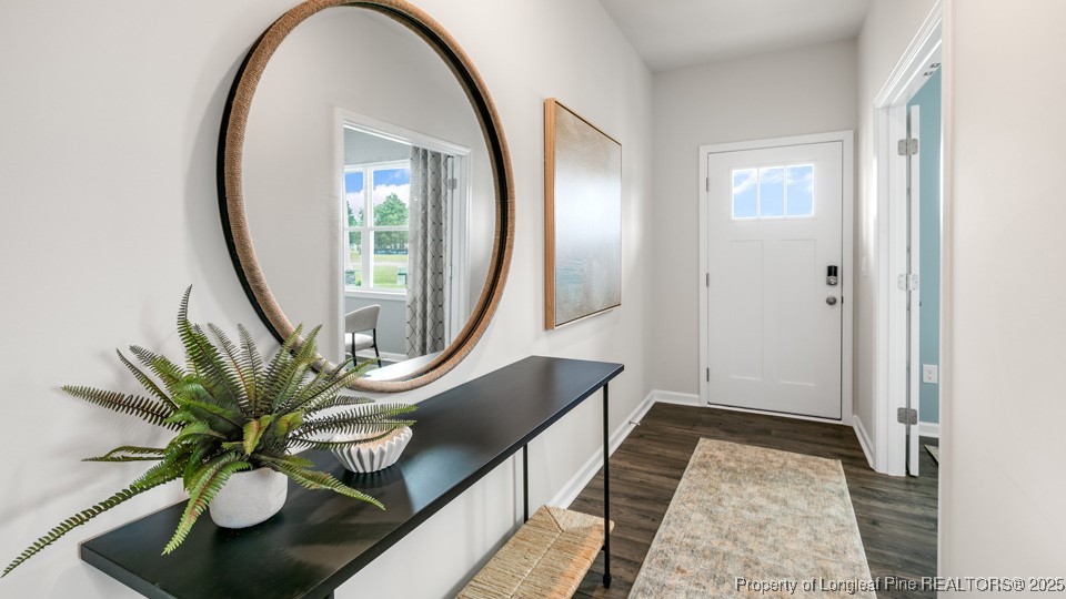 668 Wilder Bloom Path