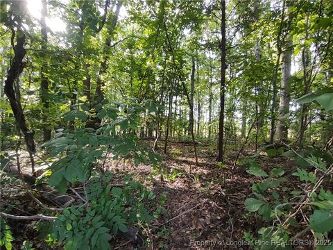 Photo of Lot 8 Lemon Springs Road, Sanford, NC 27332 (MLS # 750009)