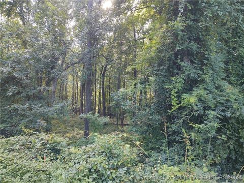 Tiny photo for Lot 8 Lemon Springs Road, Sanford, NC 27332 (MLS # 750009)