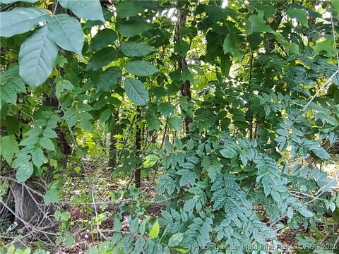Tiny photo for Lot 8 Lemon Springs Road, Sanford, NC 27332 (MLS # 750009)