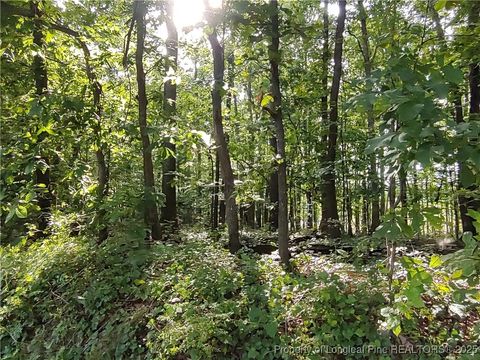 Tiny photo for Lot 8 Lemon Springs Road, Sanford, NC 27332 (MLS # 750009)