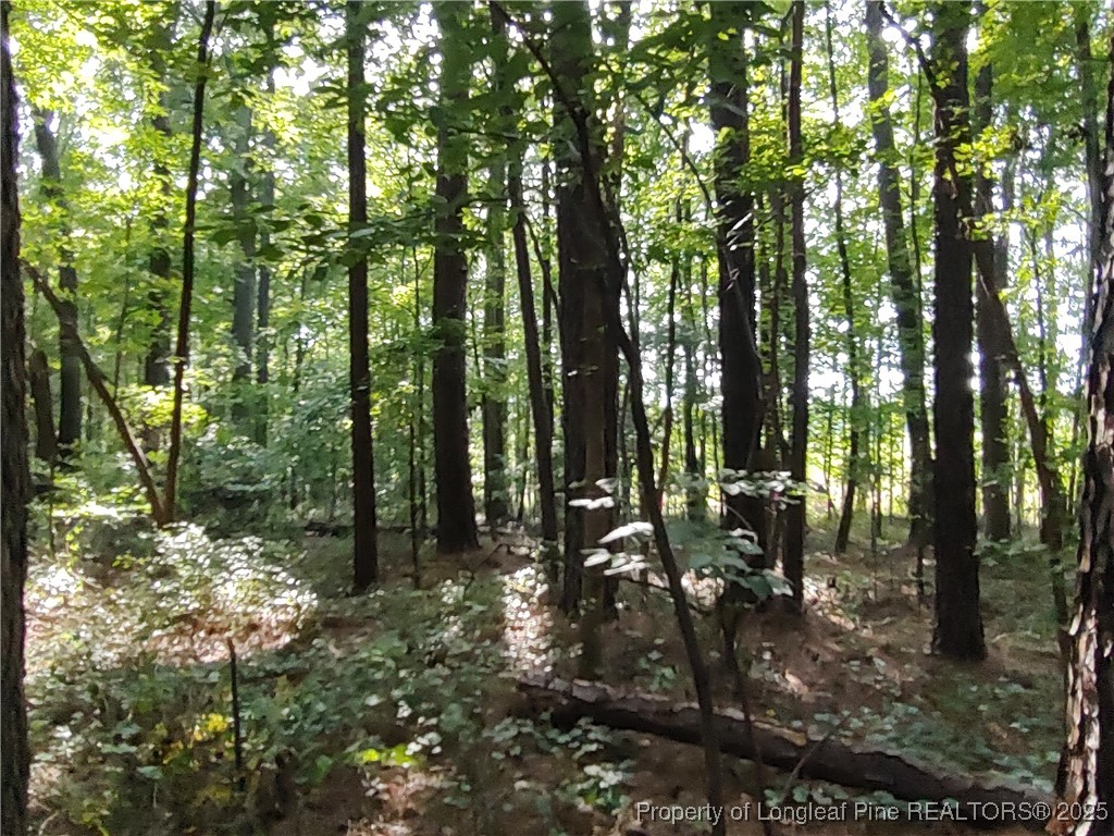 Lot 8 Lemon Springs Road