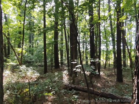 Tiny photo for Lot 8 Lemon Springs Road, Sanford, NC 27332 (MLS # 750009)