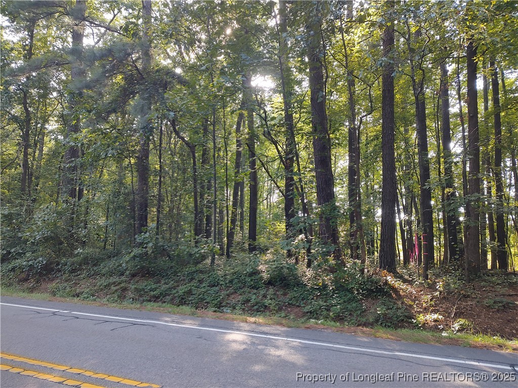 Lot 8 Lemon Springs Road