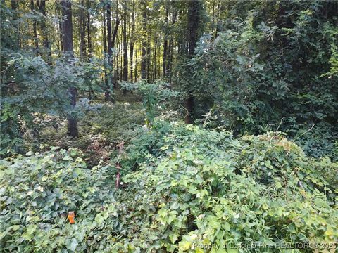 Tiny photo for Lot 8 Lemon Springs Road, Sanford, NC 27332 (MLS # 750009)