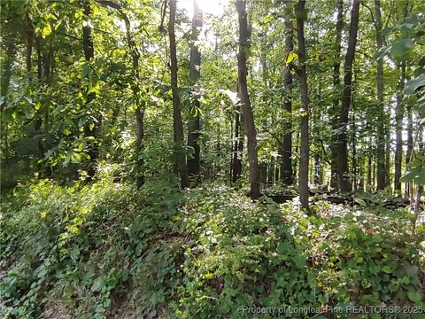 Tiny photo for Lot 8 Lemon Springs Road, Sanford, NC 27332 (MLS # 750009)