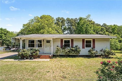 Photo of 420 Wallace Mclean Road, Raeford, NC 28376 (MLS # 761828)