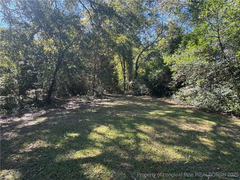 Photo of 310 Brookwood Avenue, Fayetteville, NC 28301 (MLS # 751549)