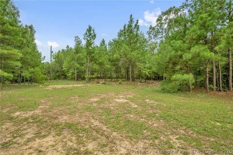 Tiny photo for 00 Riverstead (Lot 4) Road W, Fayetteville, NC 28312 (MLS # 767242)