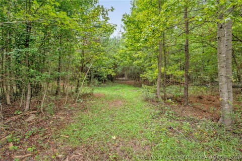 Tiny photo for 00 Riverstead (Lot 4) Road W, Fayetteville, NC 28312 (MLS # 767242)