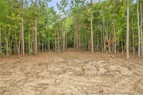 Tiny photo for 00 Riverstead (Lot 4) Road W, Fayetteville, NC 28312 (MLS # 767242)