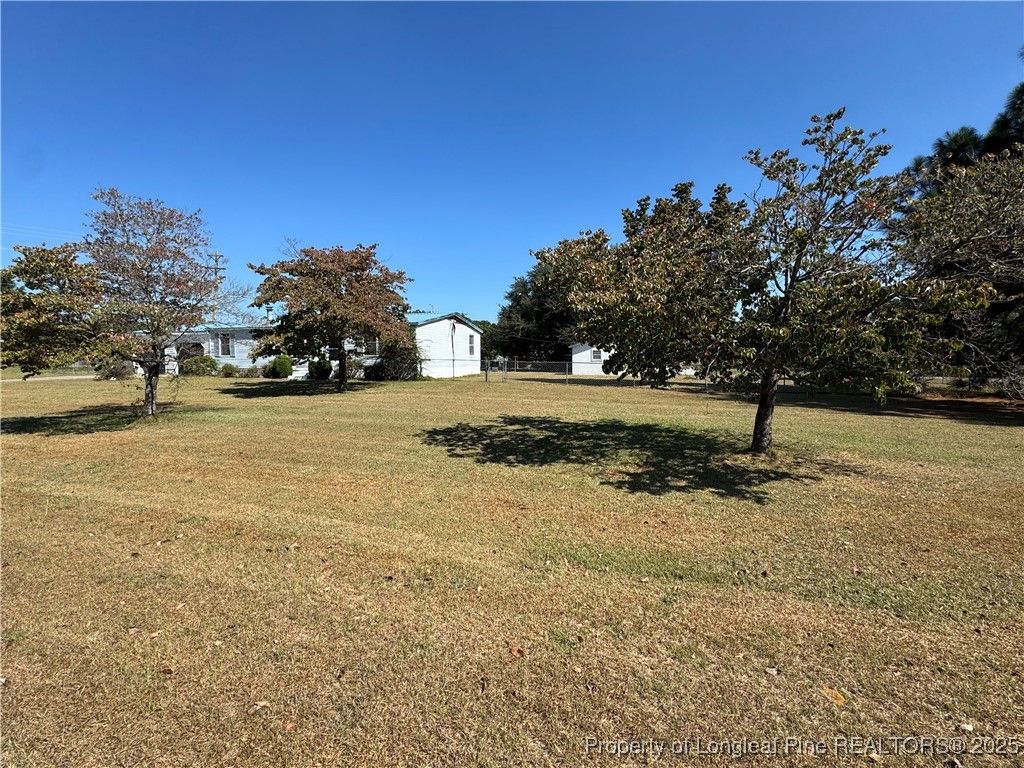 Photo of 151 Ratley Street, Raeford, NC 28376 (MLS # 750522)