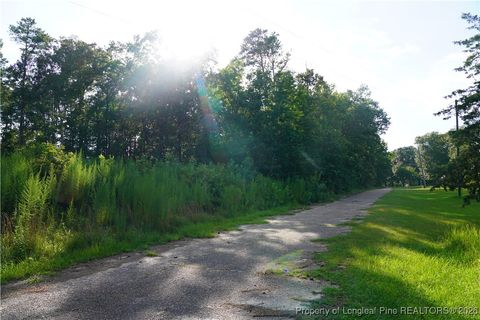 LOT 6 Lakeview Drive Red Springs NC 28377