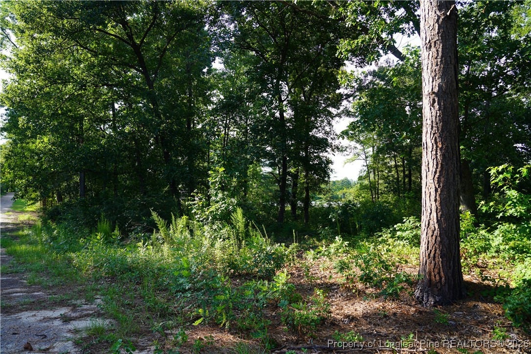 LOT 6 Lakeview Drive