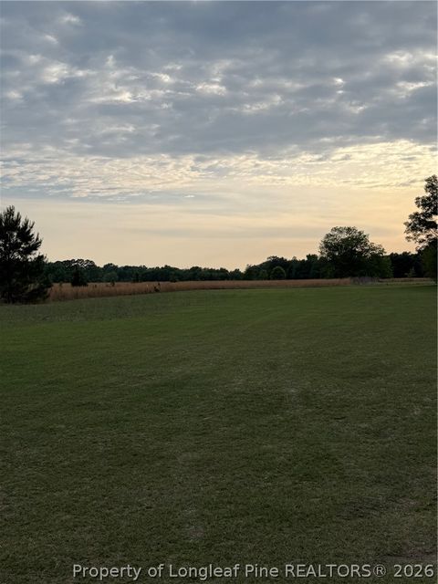 Photo of Lot 9 Fairley Road, Maxton, NC 28364 (MLS # 762301)