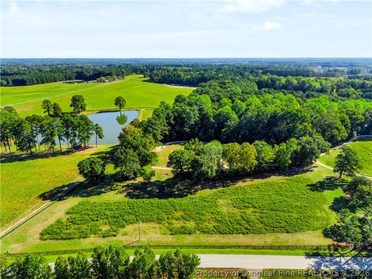 TBD MCCORMICK ROAD, SANFORD, NC 27332 - Image 1503023fccded80eac0d4b699bc52bc3/1482500517