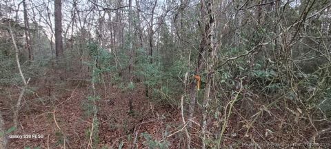 Photo of 0 Melie Lee Road #1, Fayetteville, NC 28312 (MLS # 756446)
