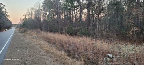 Tiny photo for 0 Melie Lee Road #1, Fayetteville, NC 28312 (MLS # 756446)