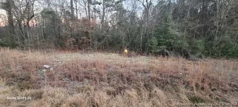 Tiny photo for 0 Melie Lee Road #1, Fayetteville, NC 28312 (MLS # 756446)
