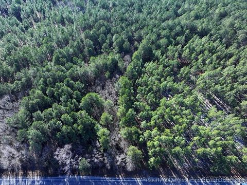 Photo of NC Hwy 130 Highway, Fairmont, NC 28340 (MLS # 756428)