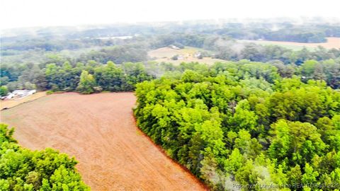 Tiny photo for 1896 & 0 Clark Road, Lillington, NC 27546 (MLS # 753432)