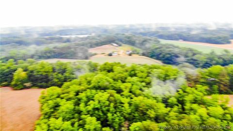 Tiny photo for 1896 & 0 Clark Road, Lillington, NC 27546 (MLS # 753432)