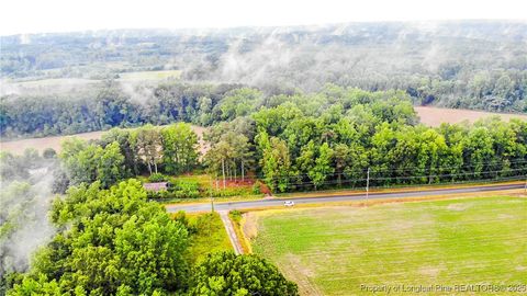 Tiny photo for 1896 & 0 Clark Road, Lillington, NC 27546 (MLS # 753432)