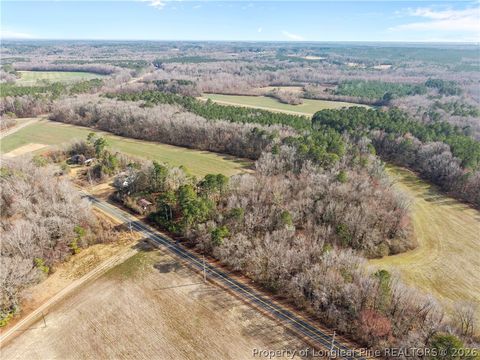 Photo of 1896 & 0 Clark Road, Lillington, NC 27546 (MLS # 753432)