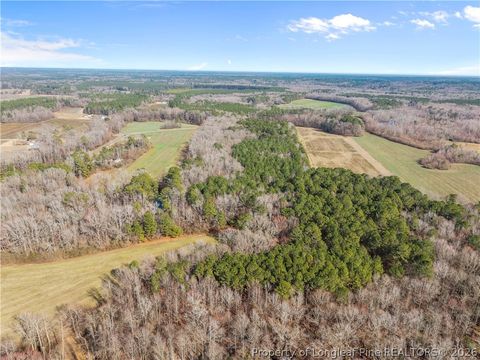 Tiny photo for 1896 & 0 Clark Road, Lillington, NC 27546 (MLS # 753432)