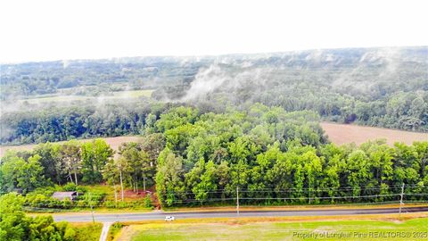 Tiny photo for 1896 & 0 Clark Road, Lillington, NC 27546 (MLS # 753432)