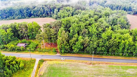 Photo of 1896 & 0 Clark Road, Lillington, NC 27546 (MLS # 753432)